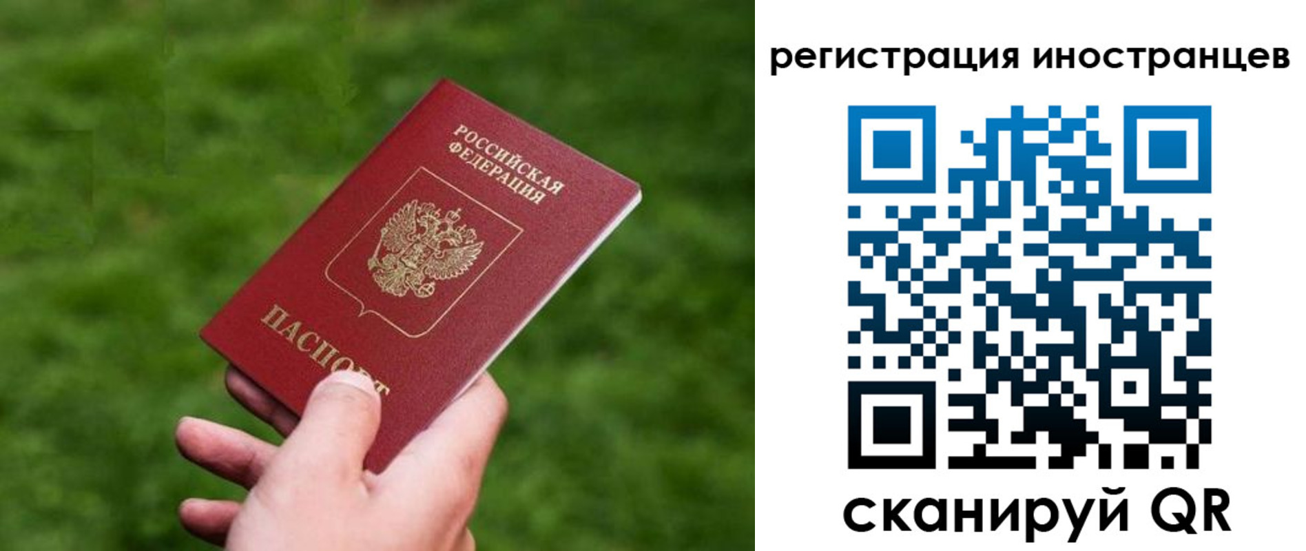 прописка ребенка в Галиче